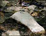 DigitalScape Photography